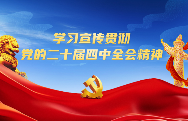 中国有研党委传达学习贯彻党的二十届四中全会精神