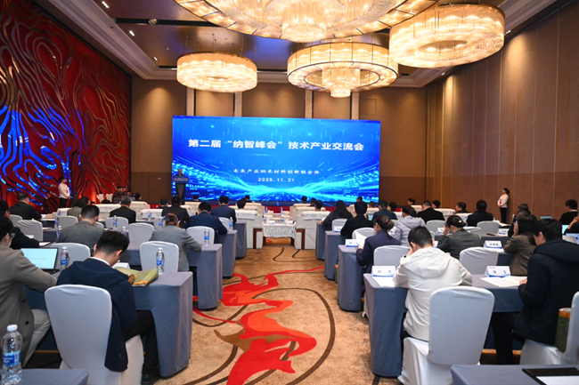 第二届“纳智峰会”在渝成功举办 共绘纳米材料未来产业蓝图