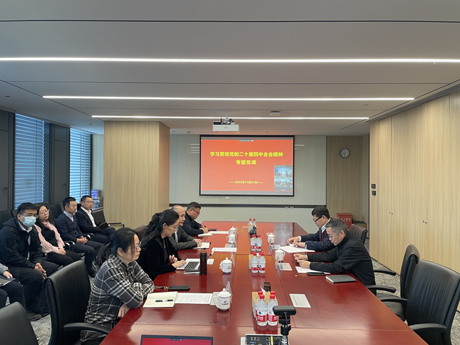 中国有研党委副书记、总经理艾磊讲授党的二十届四中全会精神专题党课